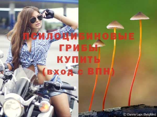 гидра Армянск