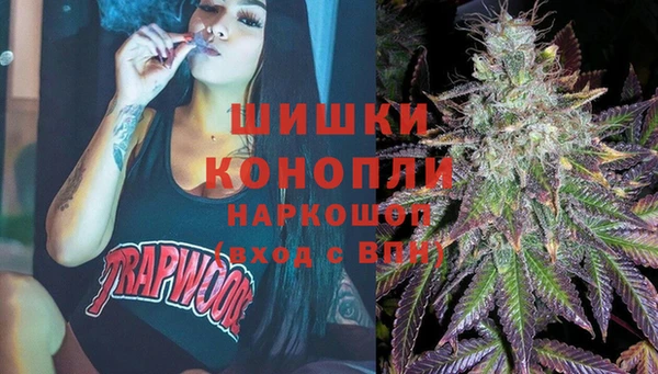 гидра Армянск