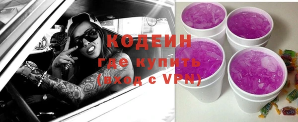 дмт Арсеньев