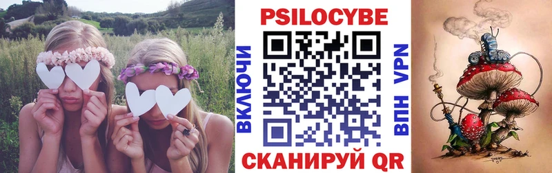где можно купить   Баймак  Галлюциногенные грибы Magic Shrooms 