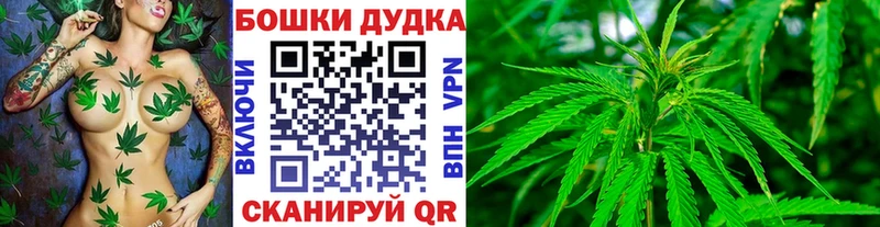 Бошки Шишки сатива  закладки  Баймак 